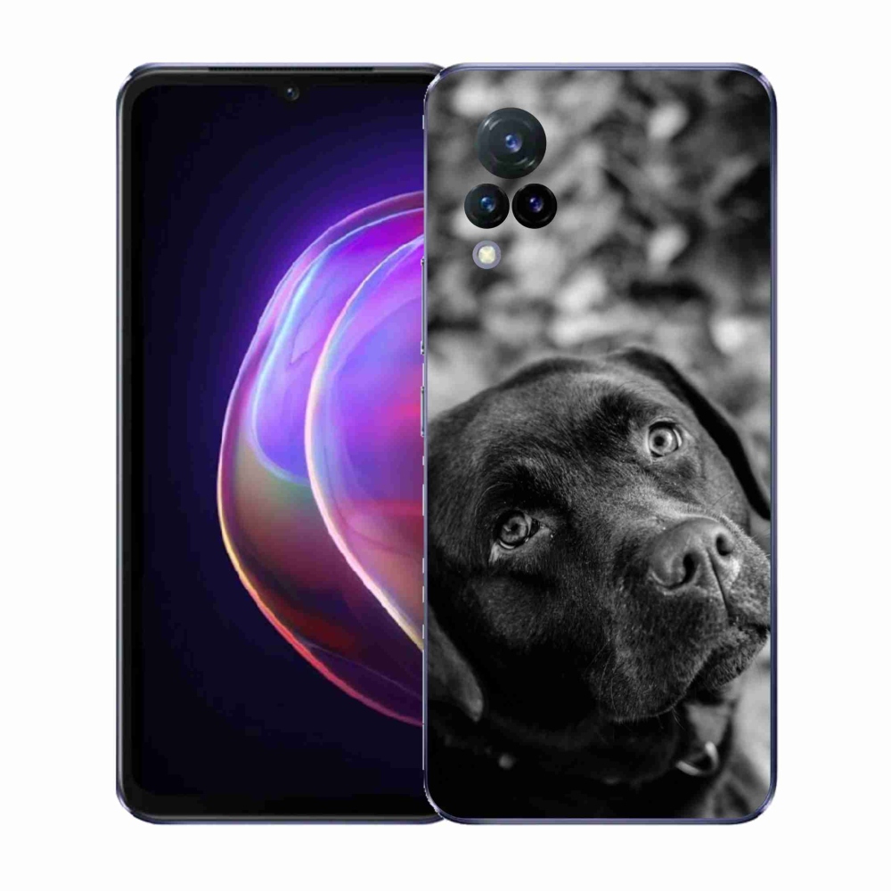 Gelový kryt mmCase na Vivo V21 4G/5G - labrador