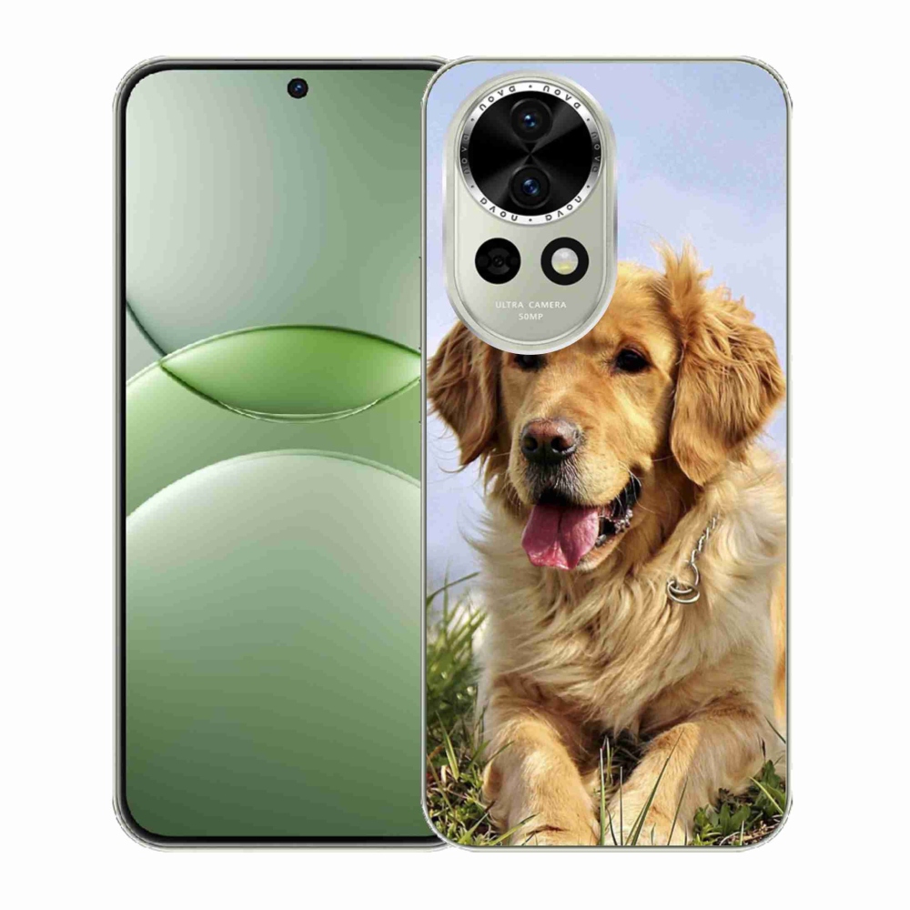 Gelový kryt mmCase na Huawei Nova 13 5G - zlatý retrívr