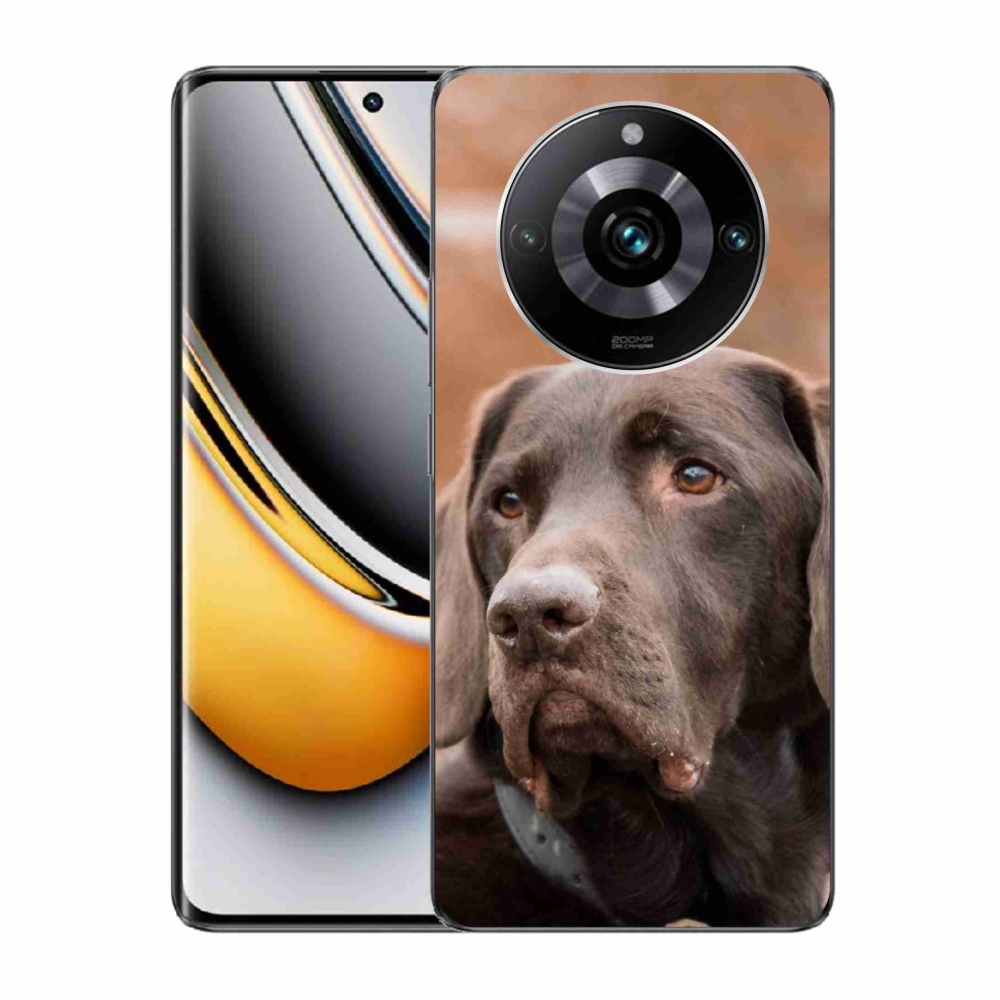 Gelový obal mmCase na Realme 11 Pro/11 Pro+ - hnědý labrador