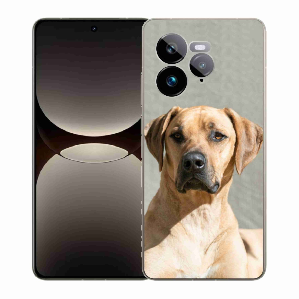 Gelový kryt mmCase na Realme GT 7 Pro 5G - ridgeback