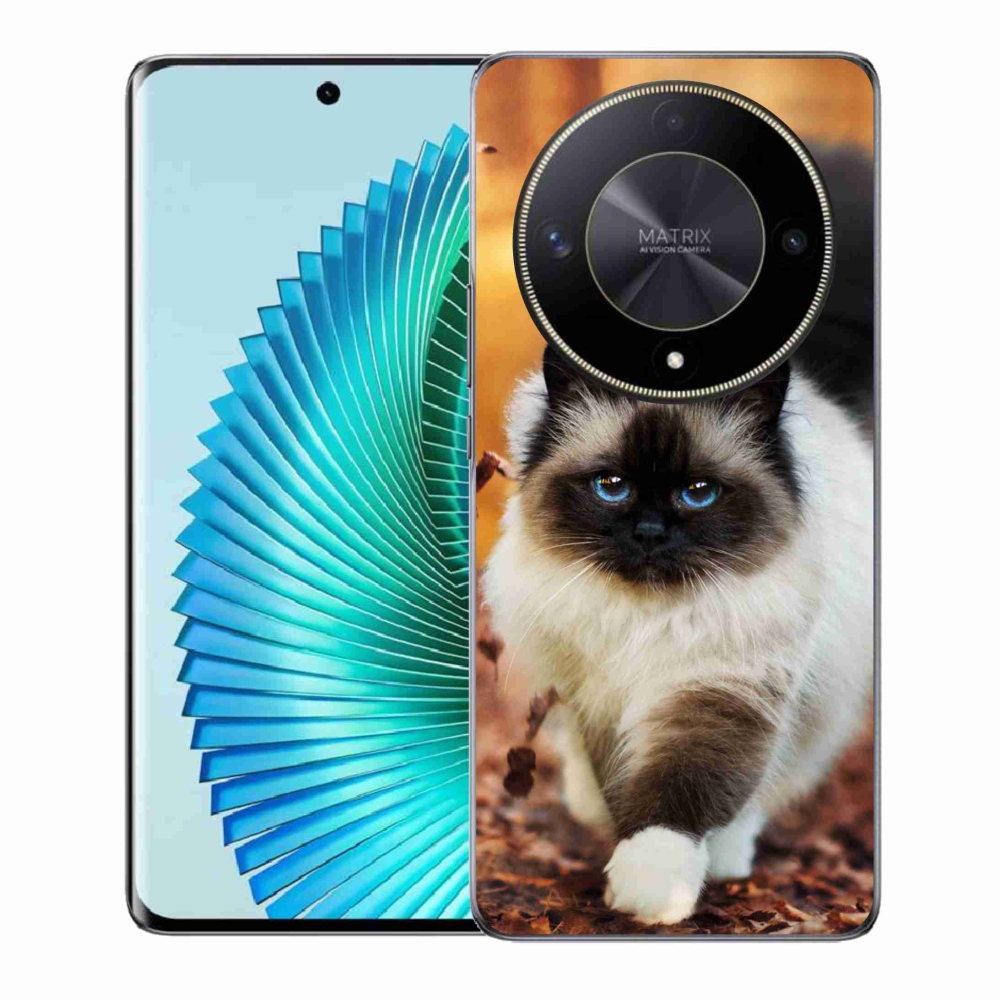Gelový obal mmCase na Honor Magic 6 Lite 5G - kočka