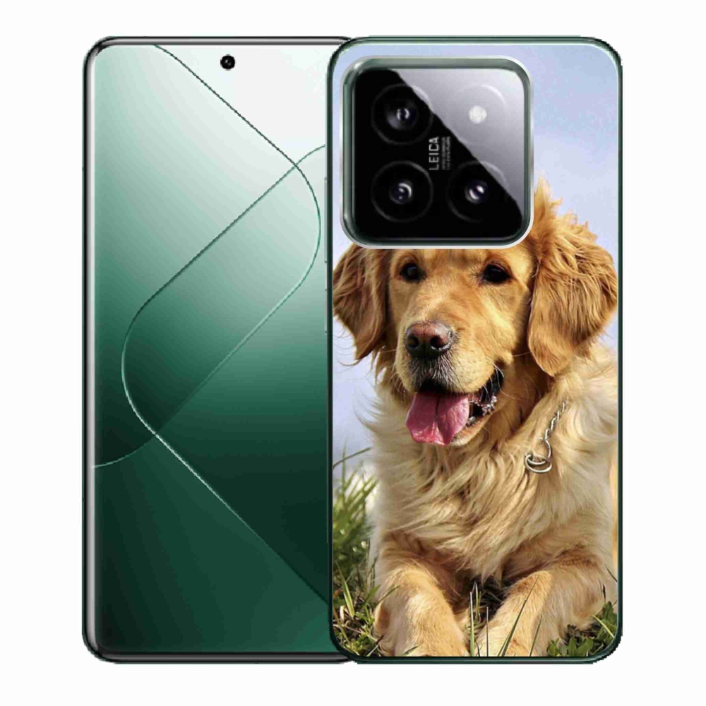 Gelový obal mmCase na Xiaomi 14 - zlatý retrívr