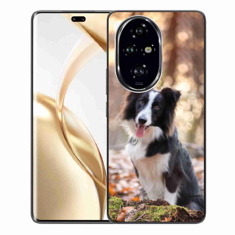 Gelový obal mmCase na Honor 200 Pro 5G - border kolie 1