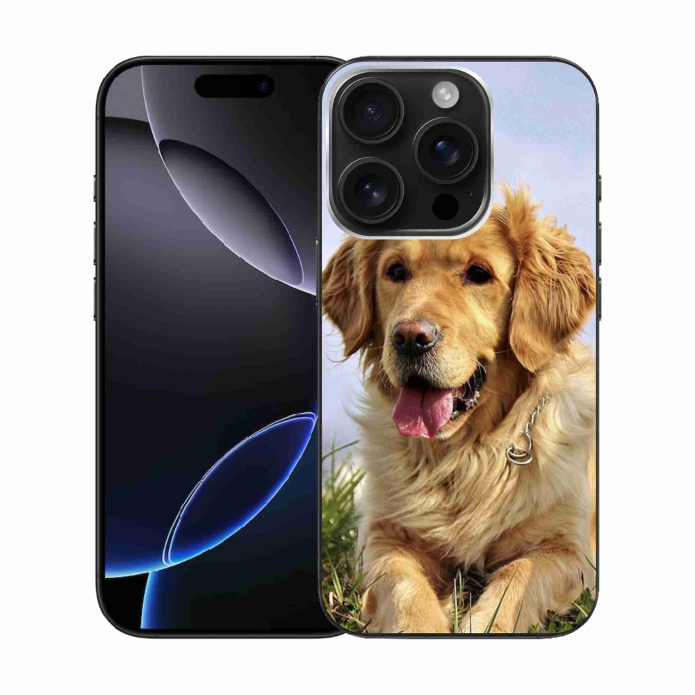 Gelový obal mmCase na iPhone 16 Pro - zlatý retrívr