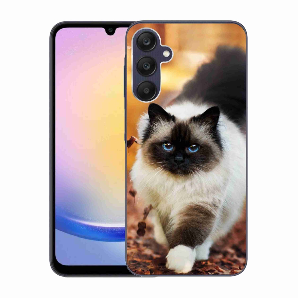 Gelový obal mmCase na Samsung Galaxy A25 5G - kočka