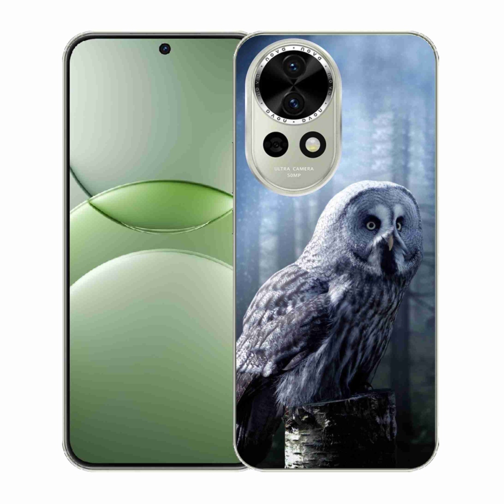 Gelový kryt mmCase na Huawei Nova 13 5G - sova