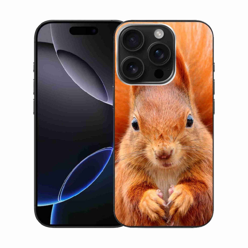 Gelový kryt mmCase na iPhone 16 Pro - veverka