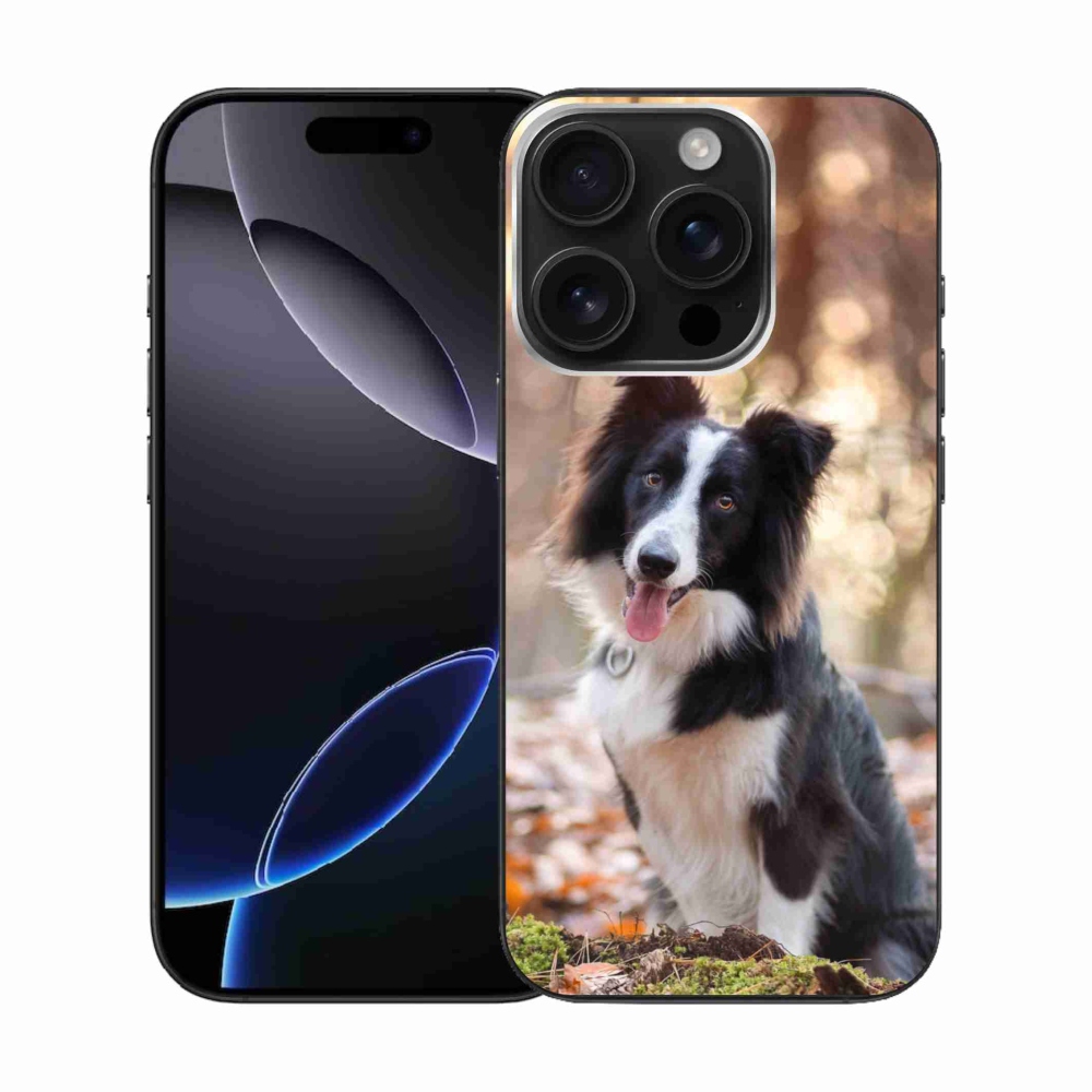 Gelový obal mmCase na iPhone 16 Pro - border kolie 1