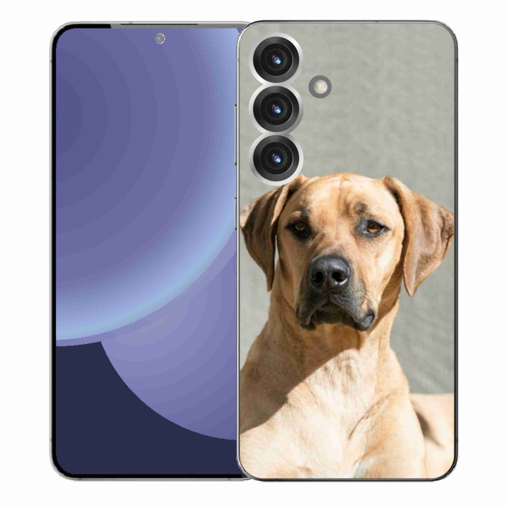 Gelový kryt mmCase na Samsung Galaxy S25+ - ridgeback