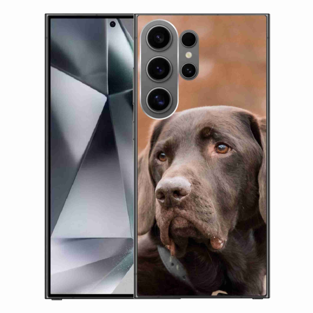Gelový obal mmCase na Samsung Galaxy S24 Ultra - hnědý labrador