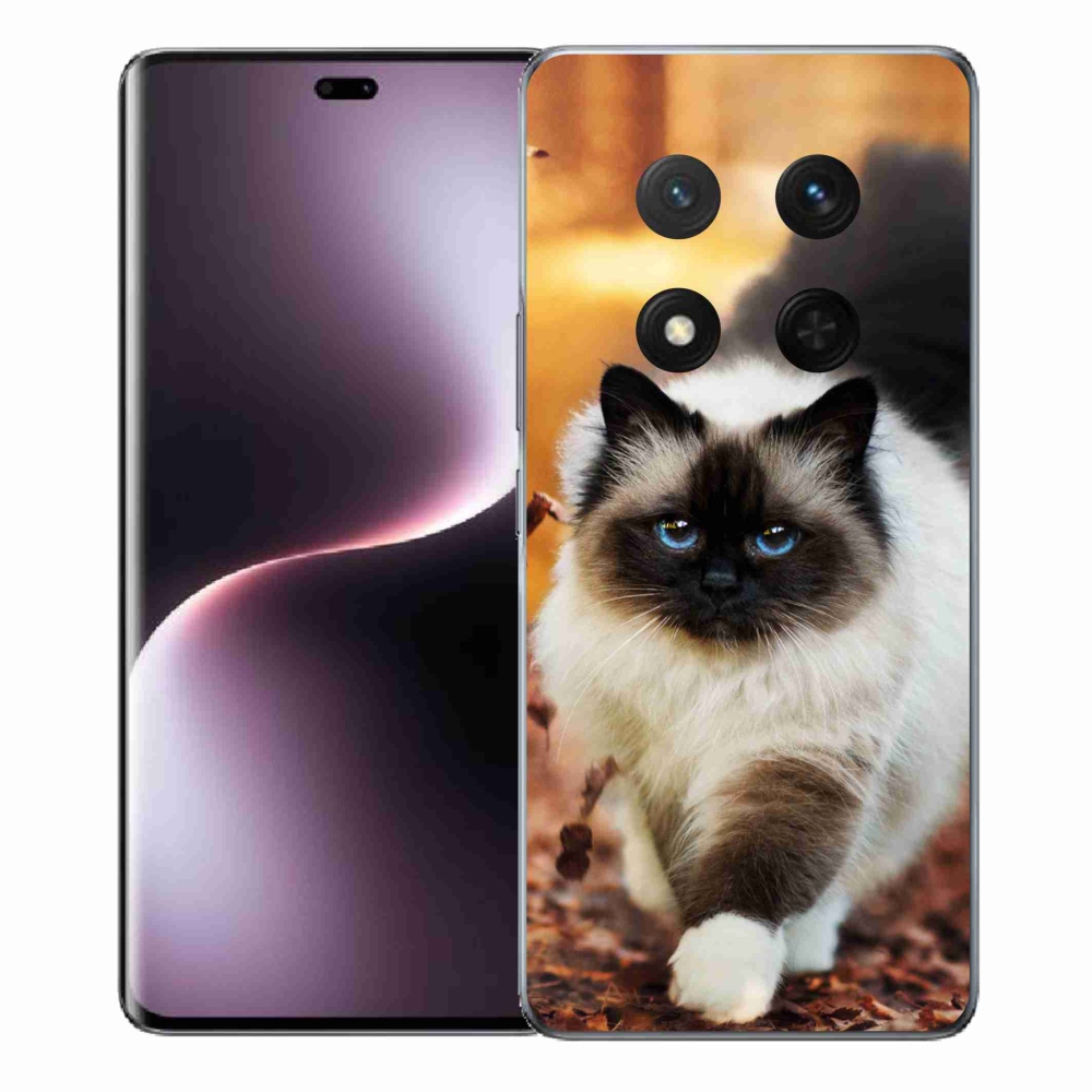 Gelový kryt mmCase na Honor Magic 7 Lite 5G - kočka