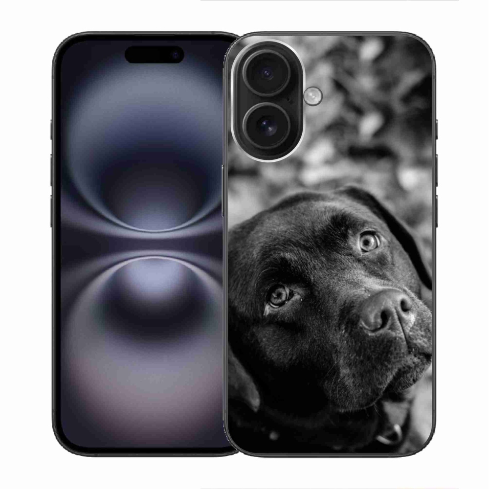 Gelový obal mmCase na iPhone 16 - labrador