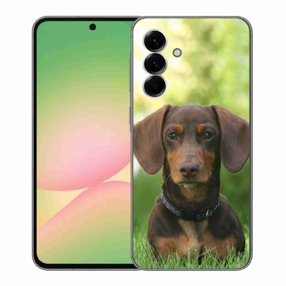 Gelový kryt mmCase na Samsung Galaxy A56 5G - hnědý jezevčík