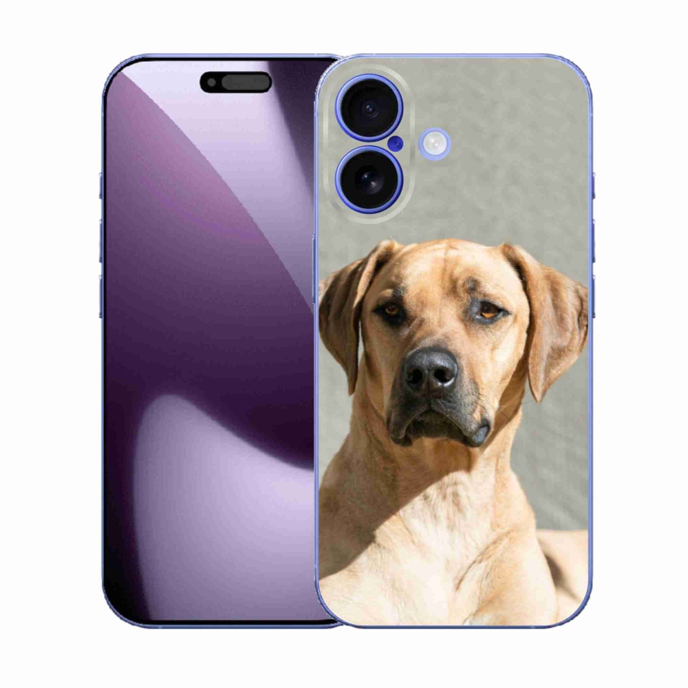 Gelový kryt mmCase na iPhone 17 - ridgeback