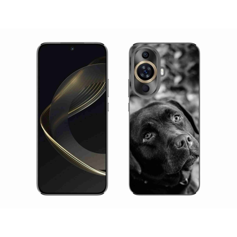 Gelový obal mmCase na Huawei Nova 11 - labrador
