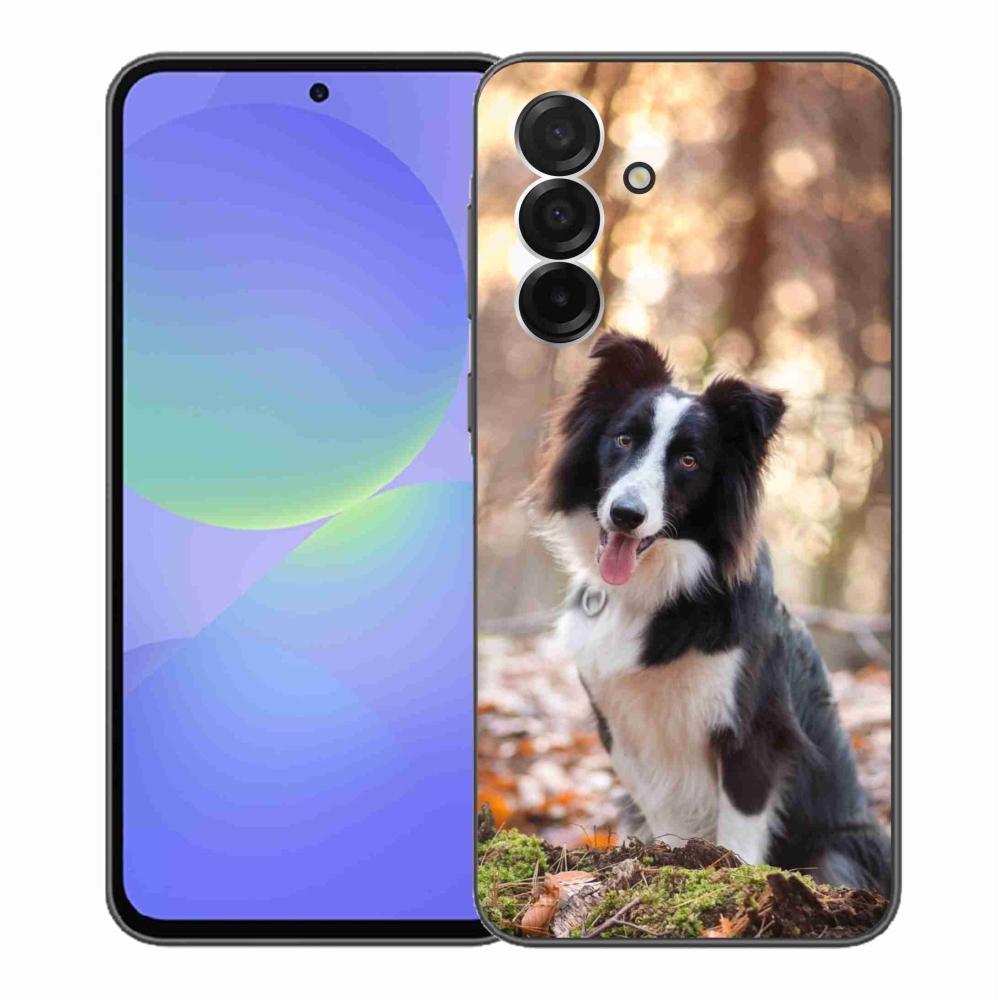 Gelový kryt mmCase na Samsung Galaxy A36 5G - border kolie 1