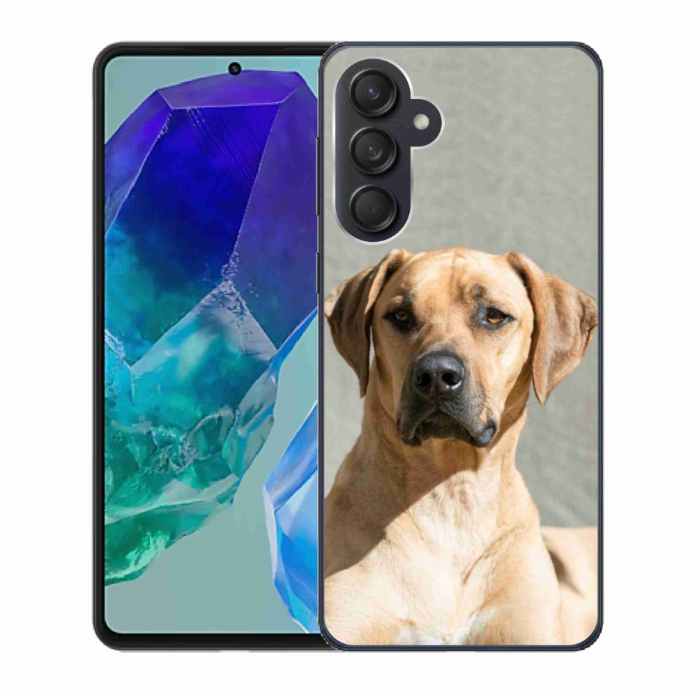 Gelový kryt mmCase na Samsung Galaxy M55 5G - ridgeback