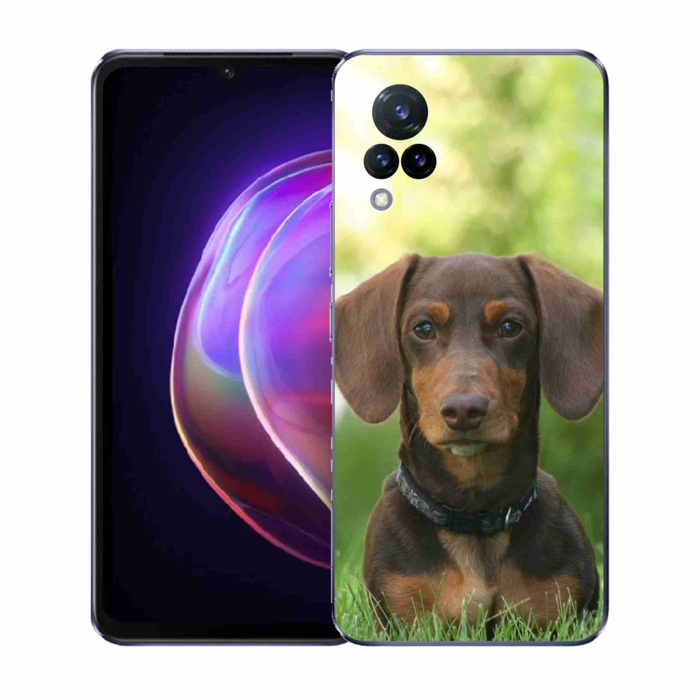 Gelový kryt mmCase na Vivo V21 4G/5G - hnědý jezevčík