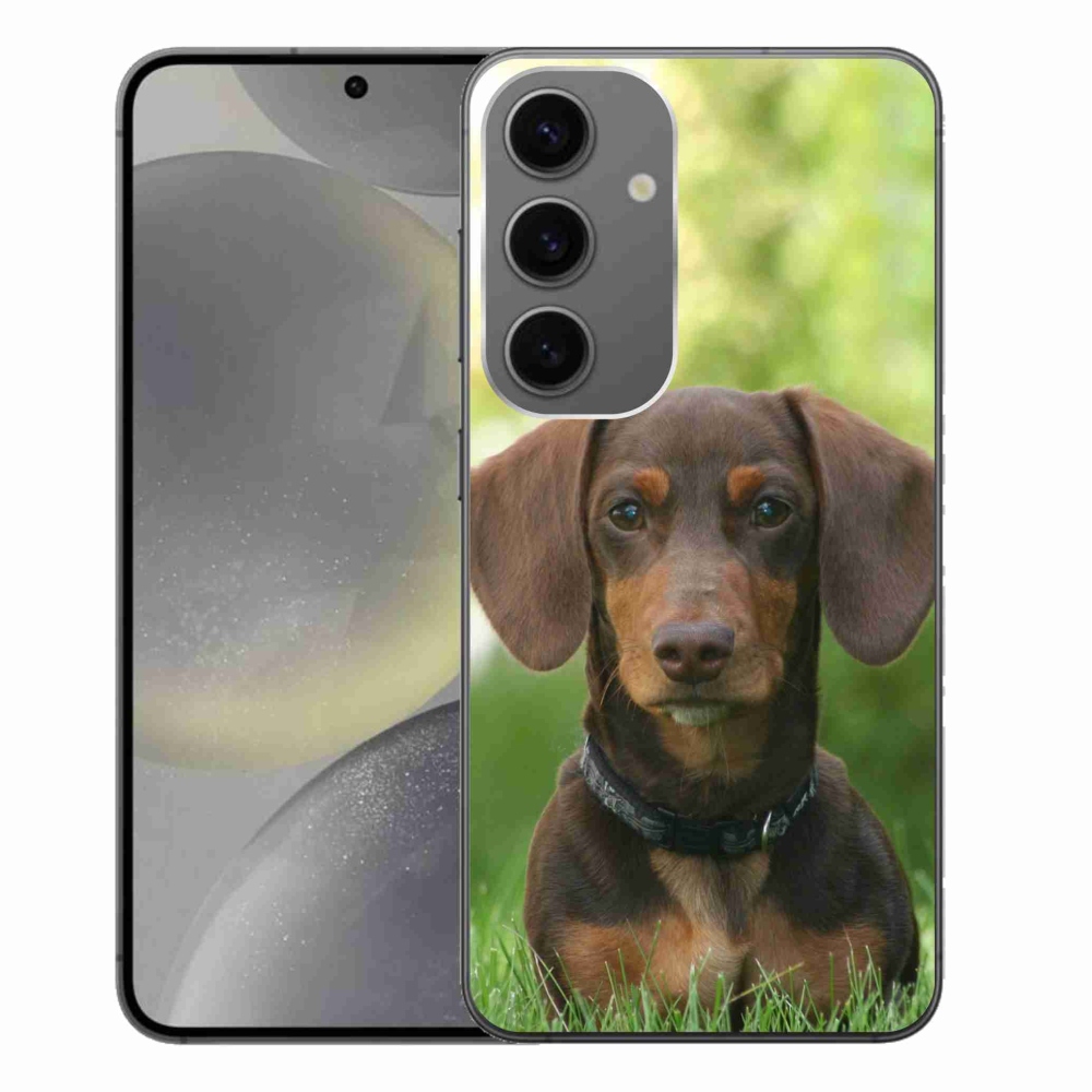 Gelový obal mmCase na Samsung Galaxy S24+ - hnědý jezevčík