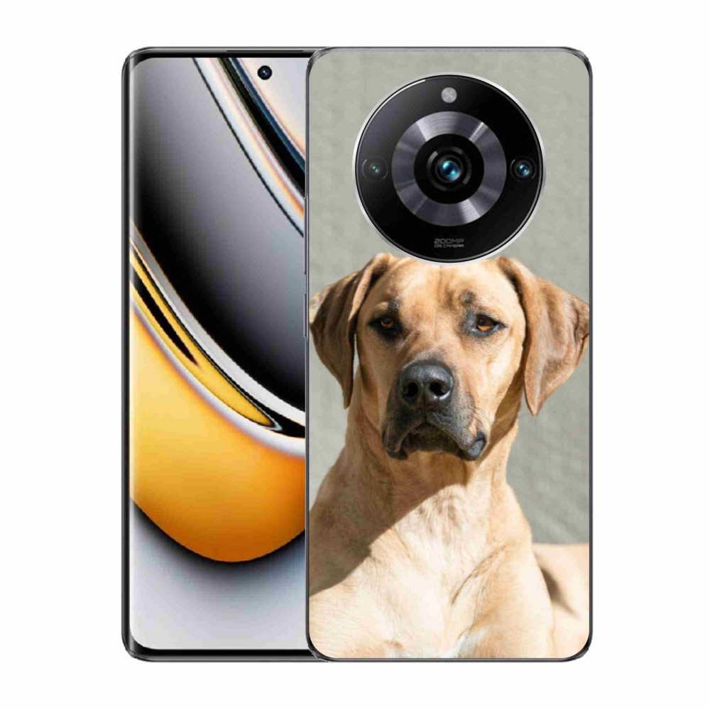 Gelový kryt mmCase na Realme 11 Pro/11 Pro+ - ridgeback
