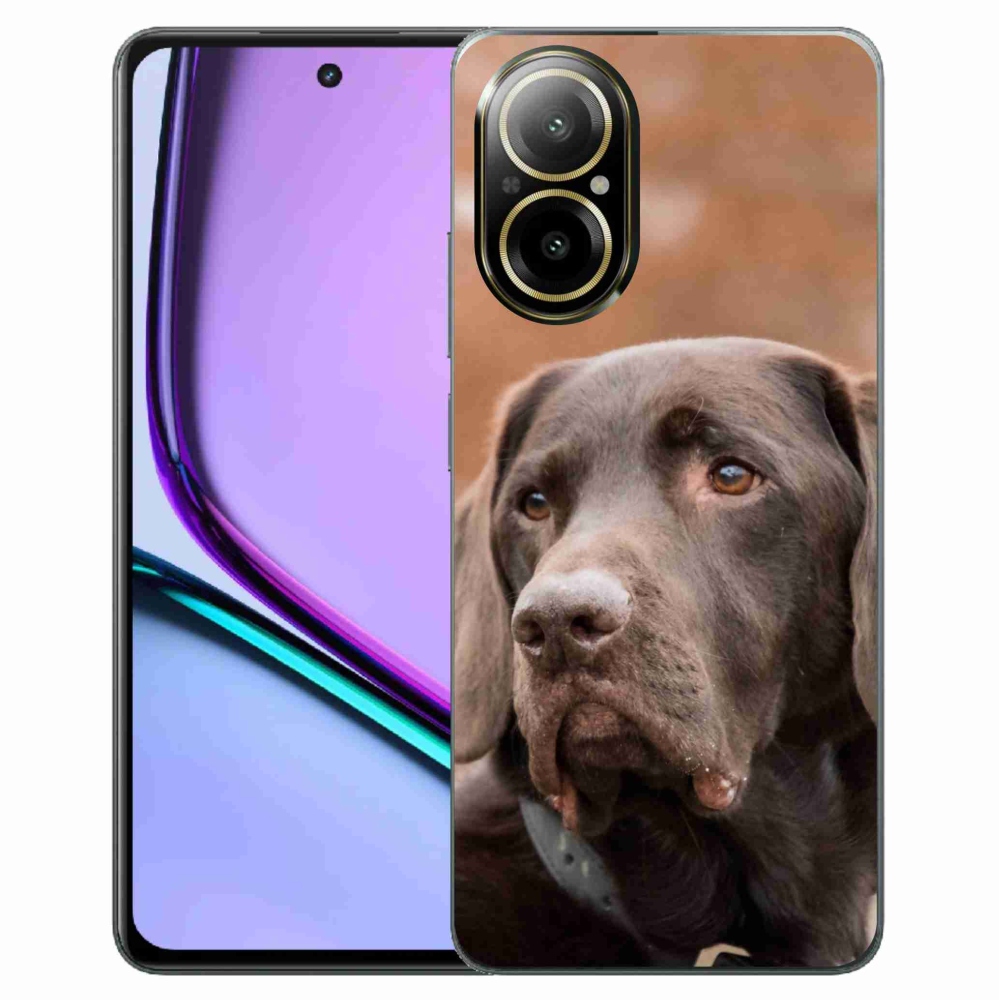 Gelový obal mmCase na Realme C67 - hnědý labrador