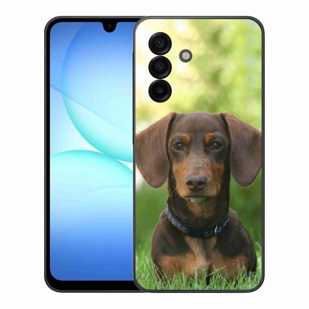 Gelový kryt mmCase na Samsung Galaxy A17 5G - hnědý jezevčík