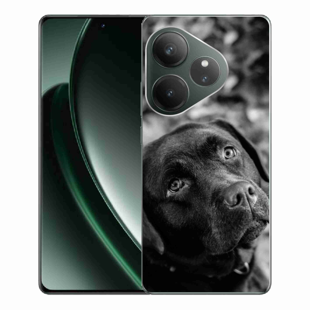 Gelový obal mmCase na Realme GT 6 5G/GT 6T 5G - labrador