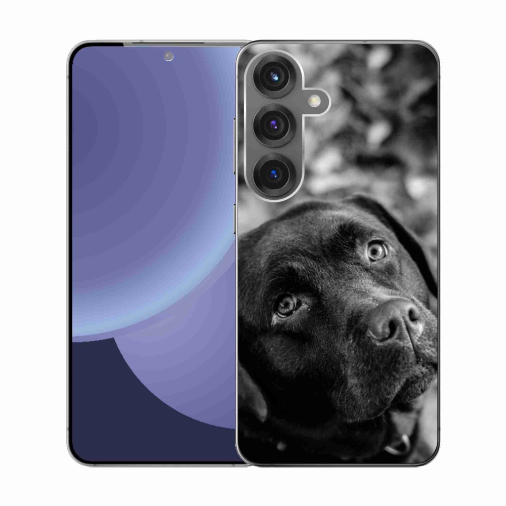 Gelový kryt mmCase na Samsung Galaxy S25 - labrador