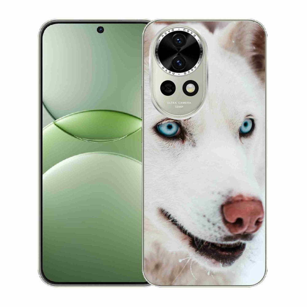 Gelový kryt mmCase na Huawei Nova 13 5G - psí pohled