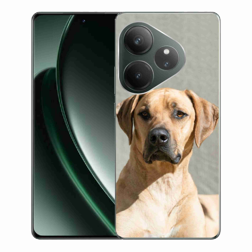 Gelový kryt mmCase na Realme GT 6 5G/GT 6T 5G - ridgeback