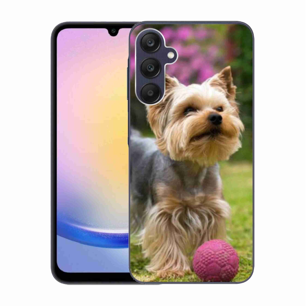 Gelový obal mmCase na Samsung Galaxy A25 5G - jorkšír 4