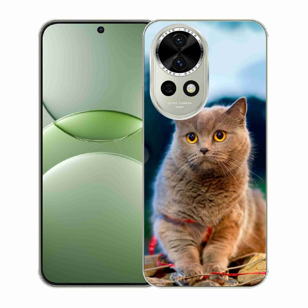 Gelový kryt mmCase na Huawei Nova 13 5G - britská modrá 2