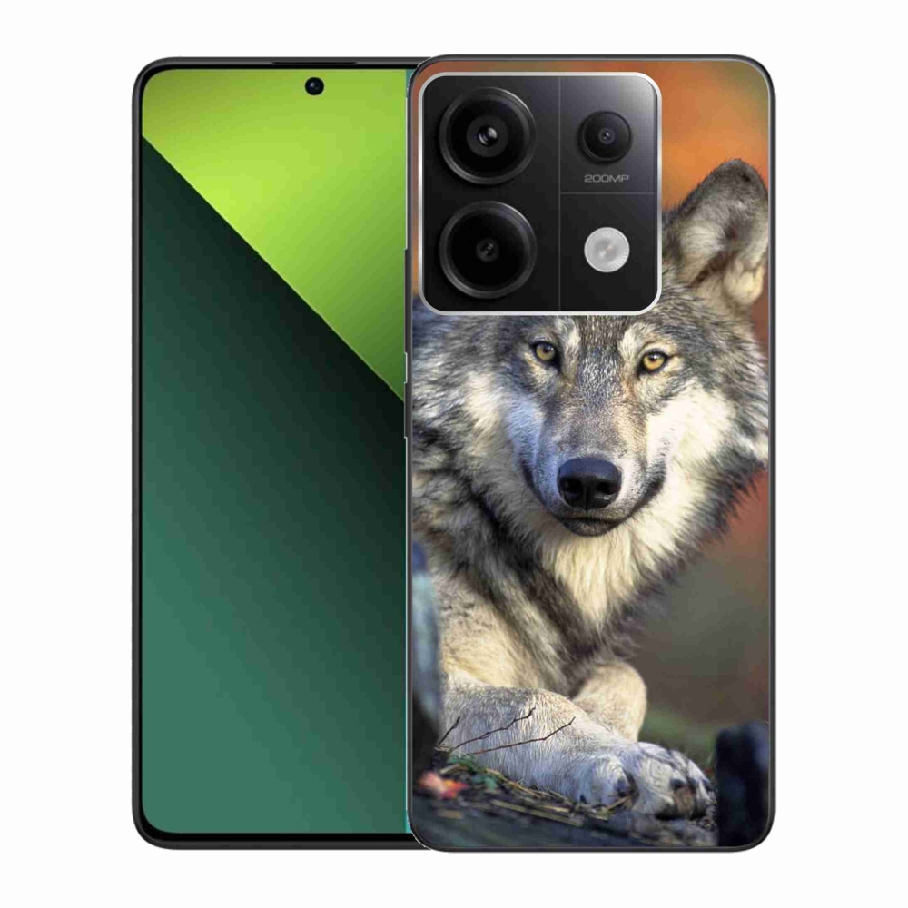 Gelový obal mmCase na Xiaomi Redmi Note 13 Pro 5G/Poco X6 5G - vlk