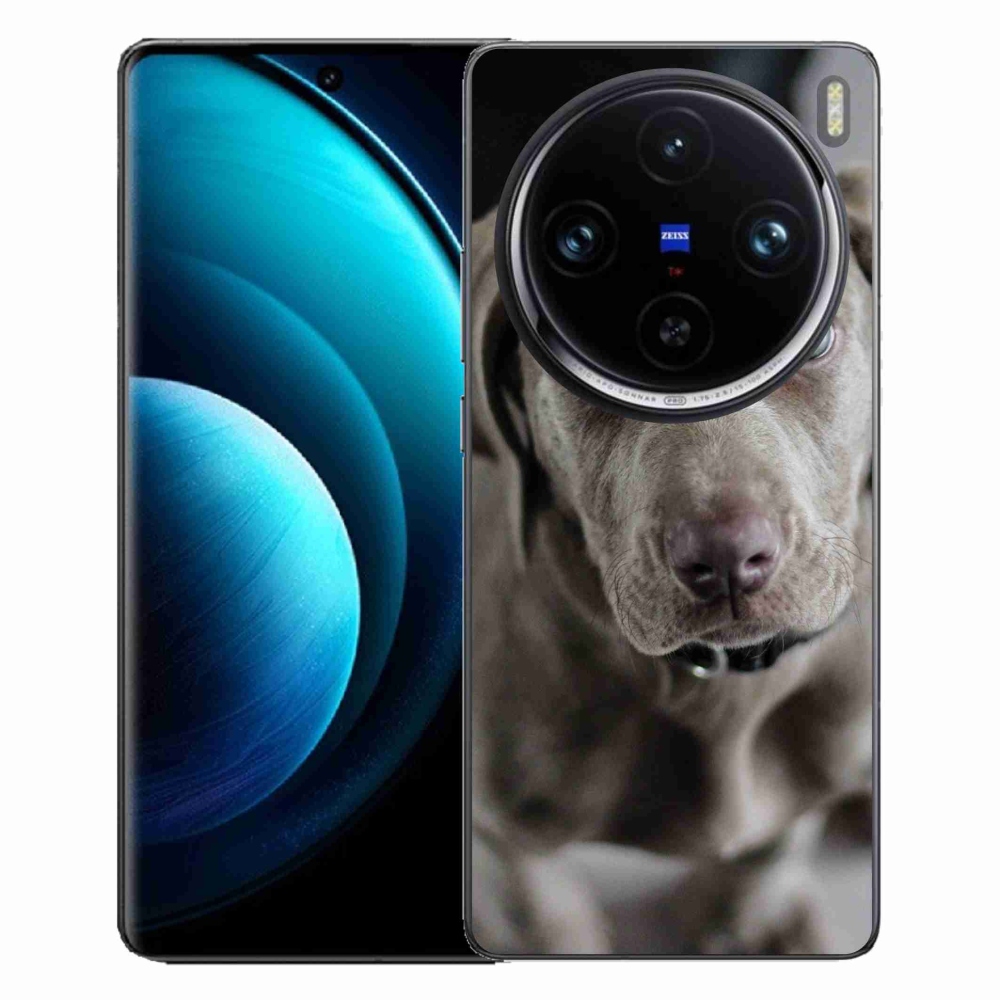Gelový obal mmCase na Vivo X100 Pro 5G - výmarský ohař