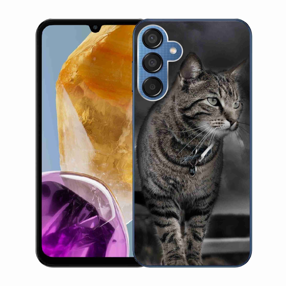 Gelový kryt mmCase na Samsung Galaxy M15 5G - kočka