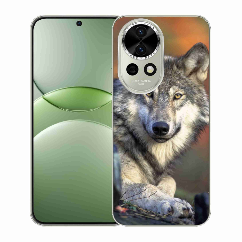 Gelový kryt mmCase na Huawei Nova 13 5G - vlk