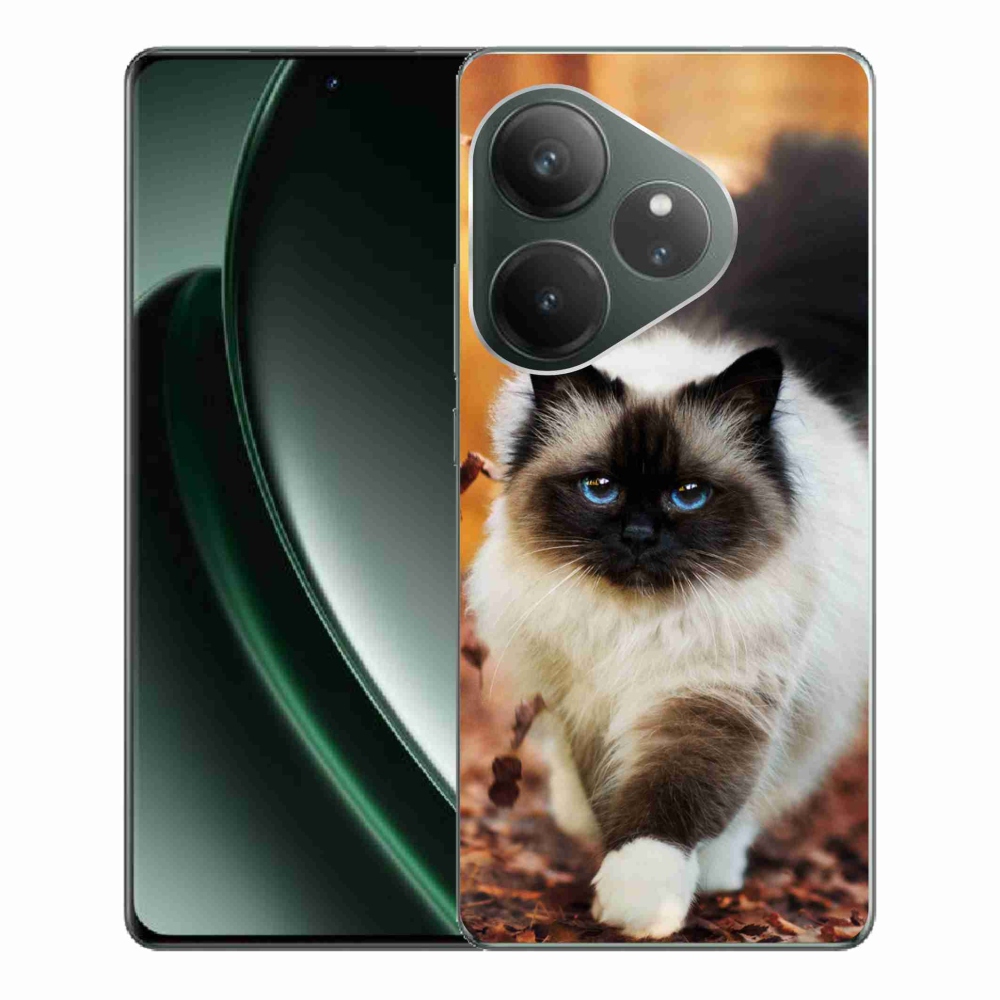 Gelový obal mmCase na Realme GT 6 5G/GT 6T 5G - kočka
