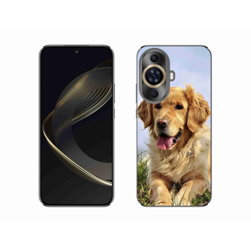 Gelový obal mmCase na Huawei Nova 11 - zlatý retrívr