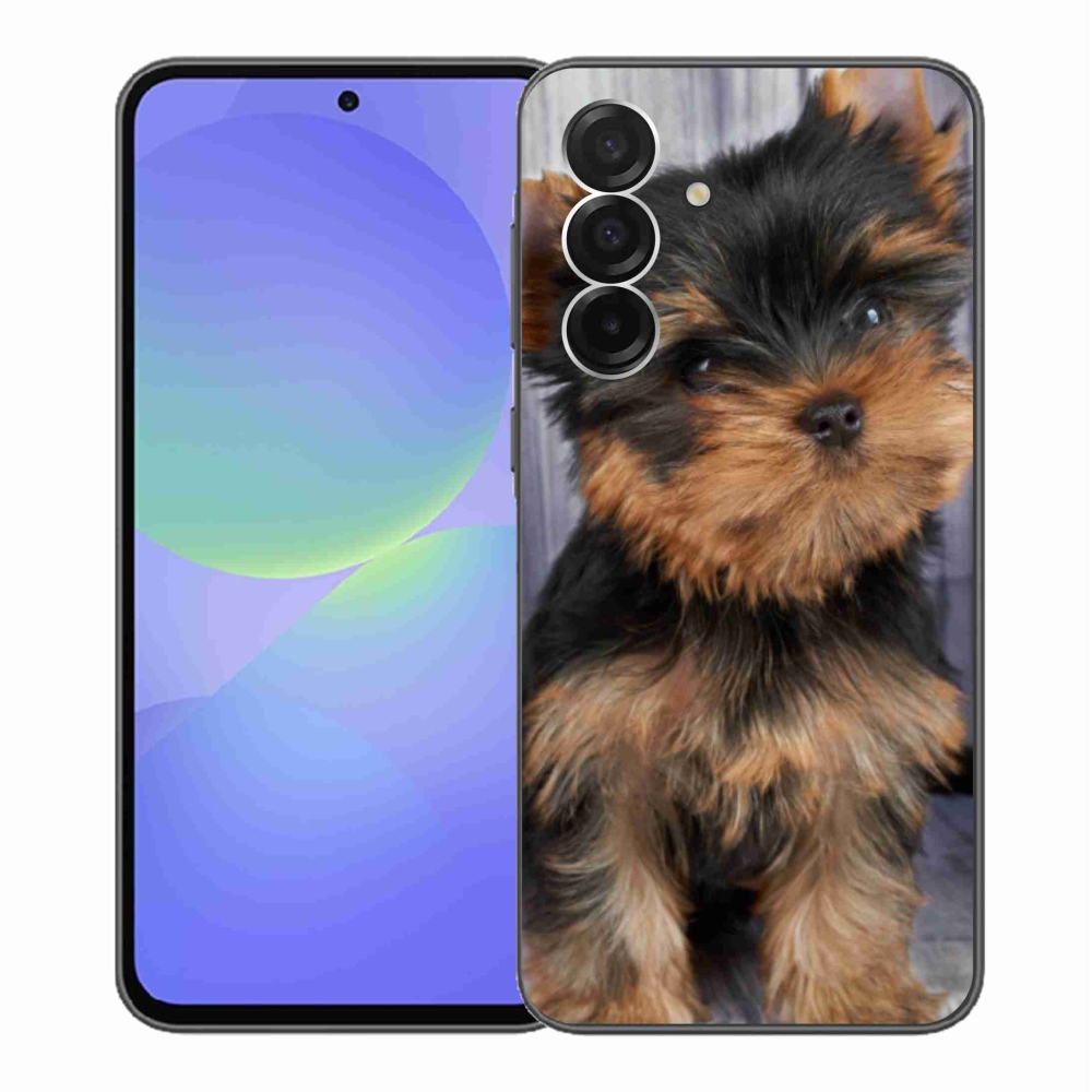 Gelový kryt mmCase na Samsung Galaxy A36 5G - jorkšír 9
