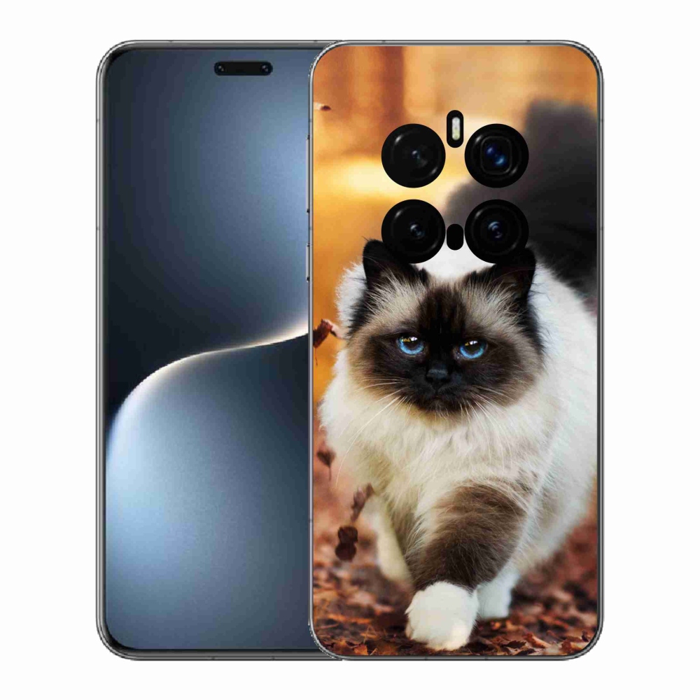 Gelový kryt mmCase na Honor Magic 7 Pro 5G - kočka