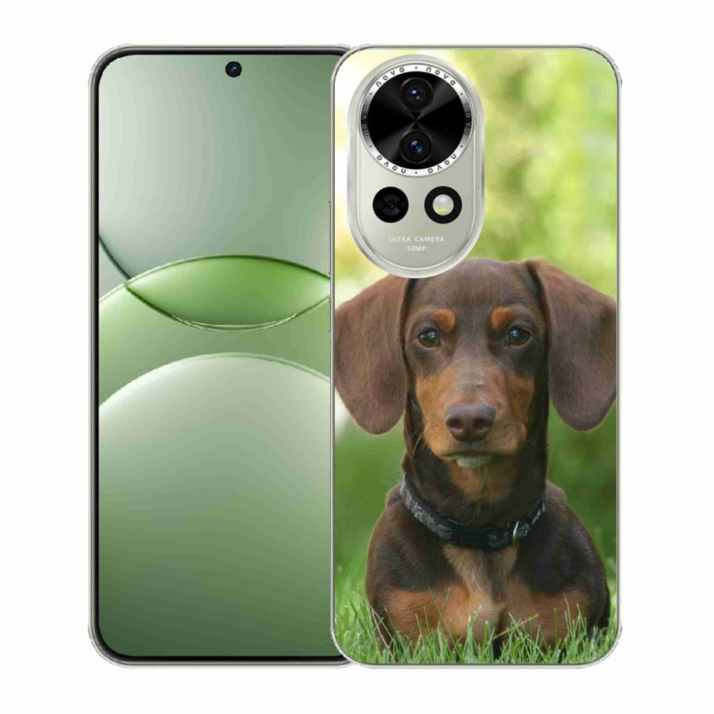 Gelový kryt mmCase na Huawei Nova 13 5G - hnědý jezevčík