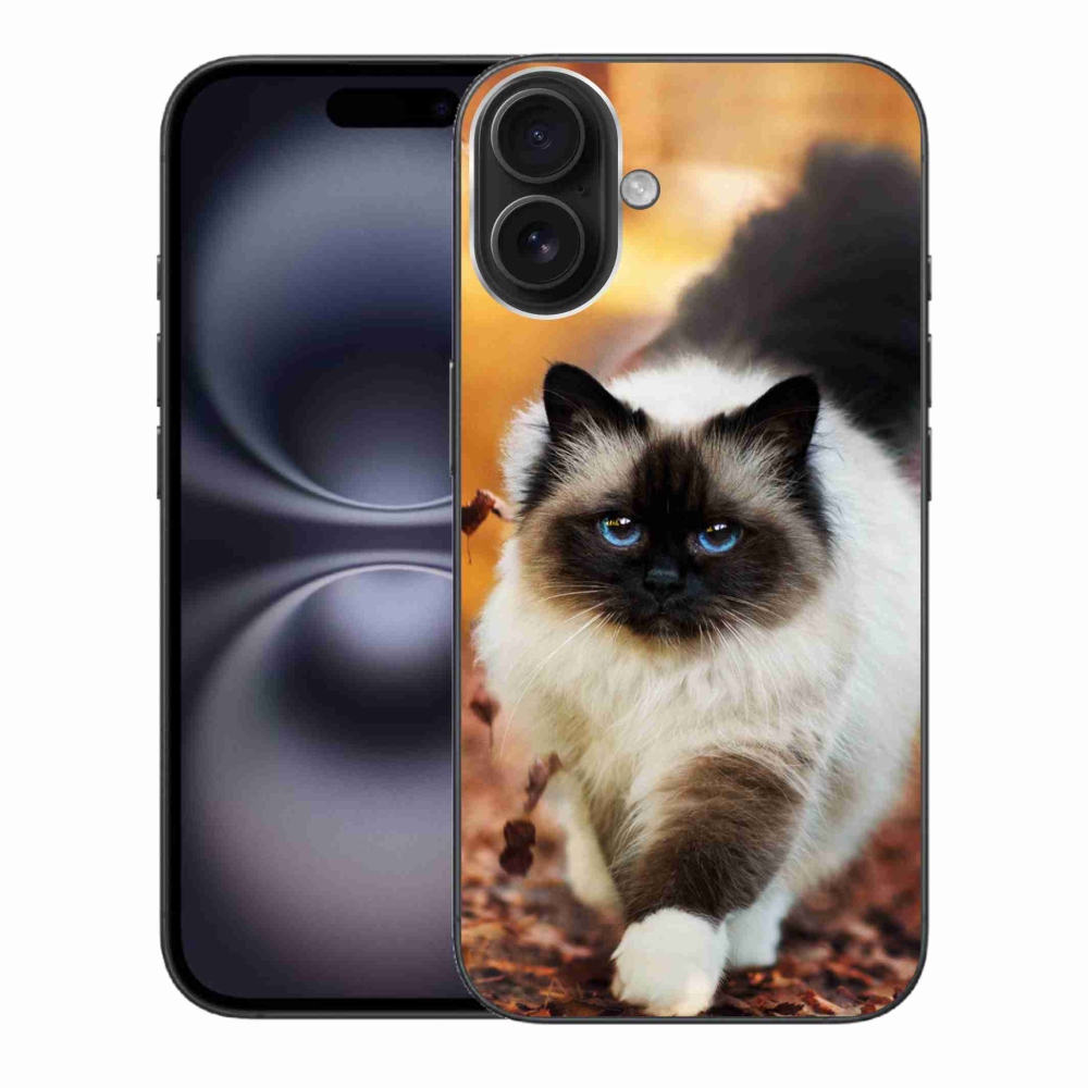 Gelový obal mmCase na iPhone 16 Plus - kočka