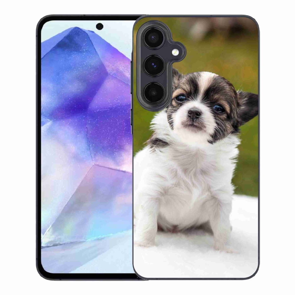 Gelový obal mmCase na Samsung Galaxy A55 5G - čivava 4