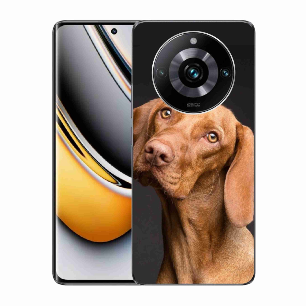 Gelový obal mmCase na Realme 11 Pro/11 Pro+ - maďarský ohař