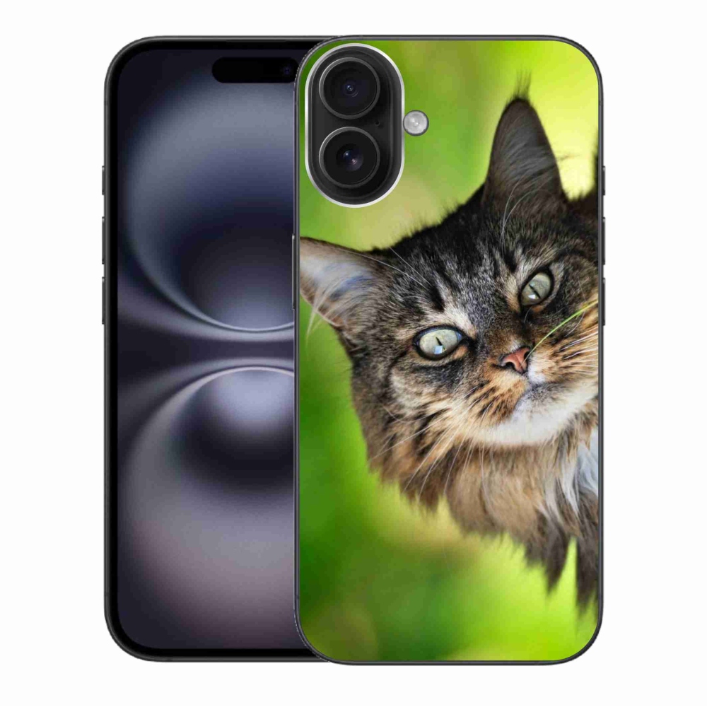 Gelový kryt mmCase na iPhone 16 Plus - kočka 3