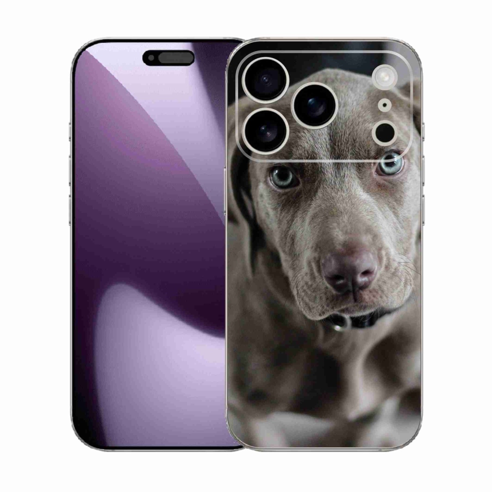 Gelový kryt mmCase na iPhone 17 Pro - výmarský ohař