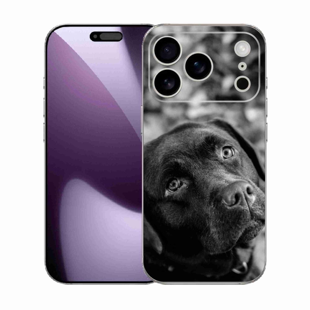Gelový kryt mmCase na iPhone 17 Pro - labrador