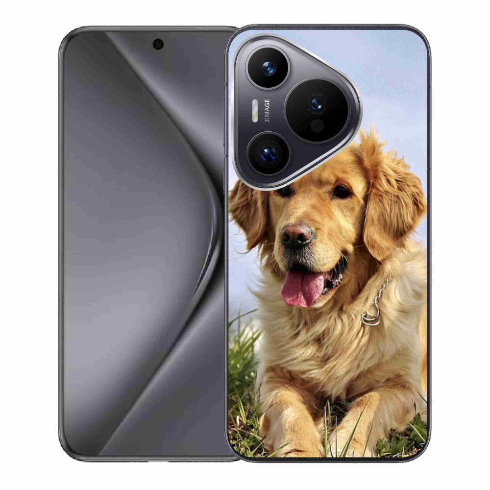 Gelový obal mmCase na Huawei Pura 70 - zlatý retrívr