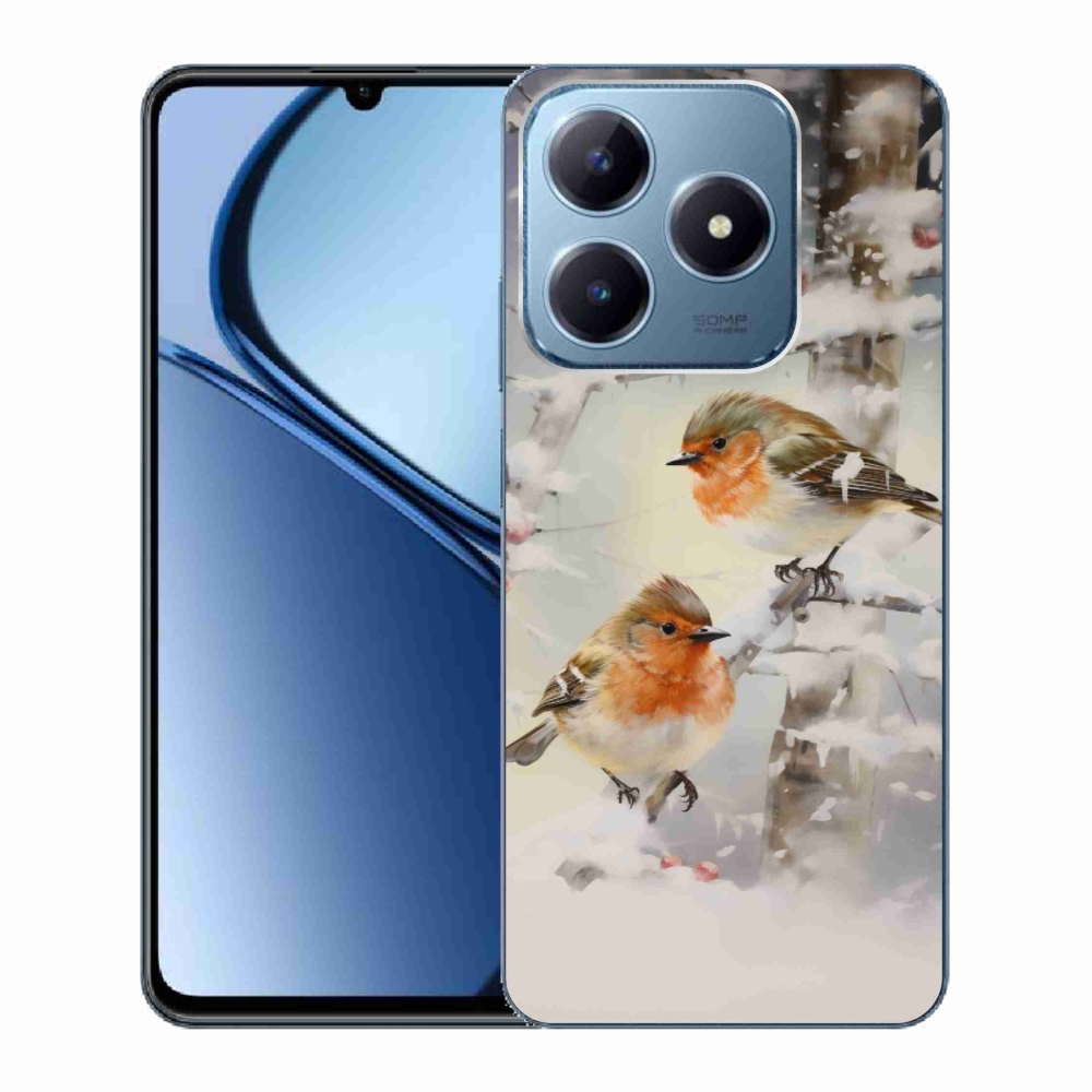 Gelový kryt mmCase na Realme C63 - ptáčci v zimě