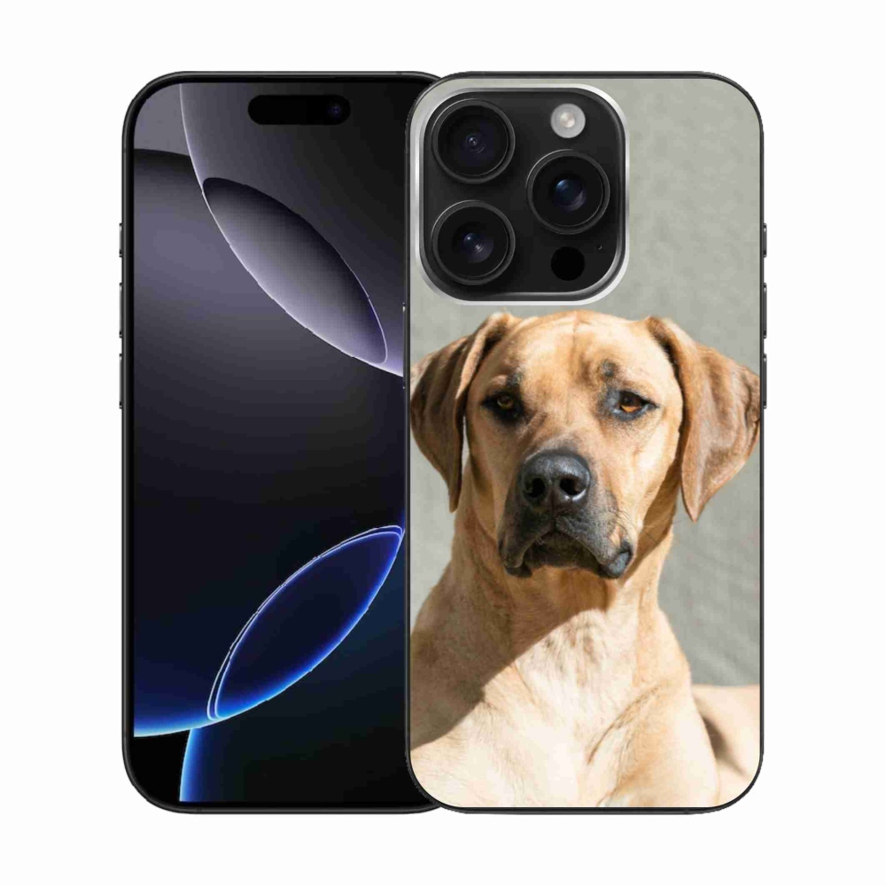 Gelový kryt mmCase na iPhone 16 Pro - ridgeback